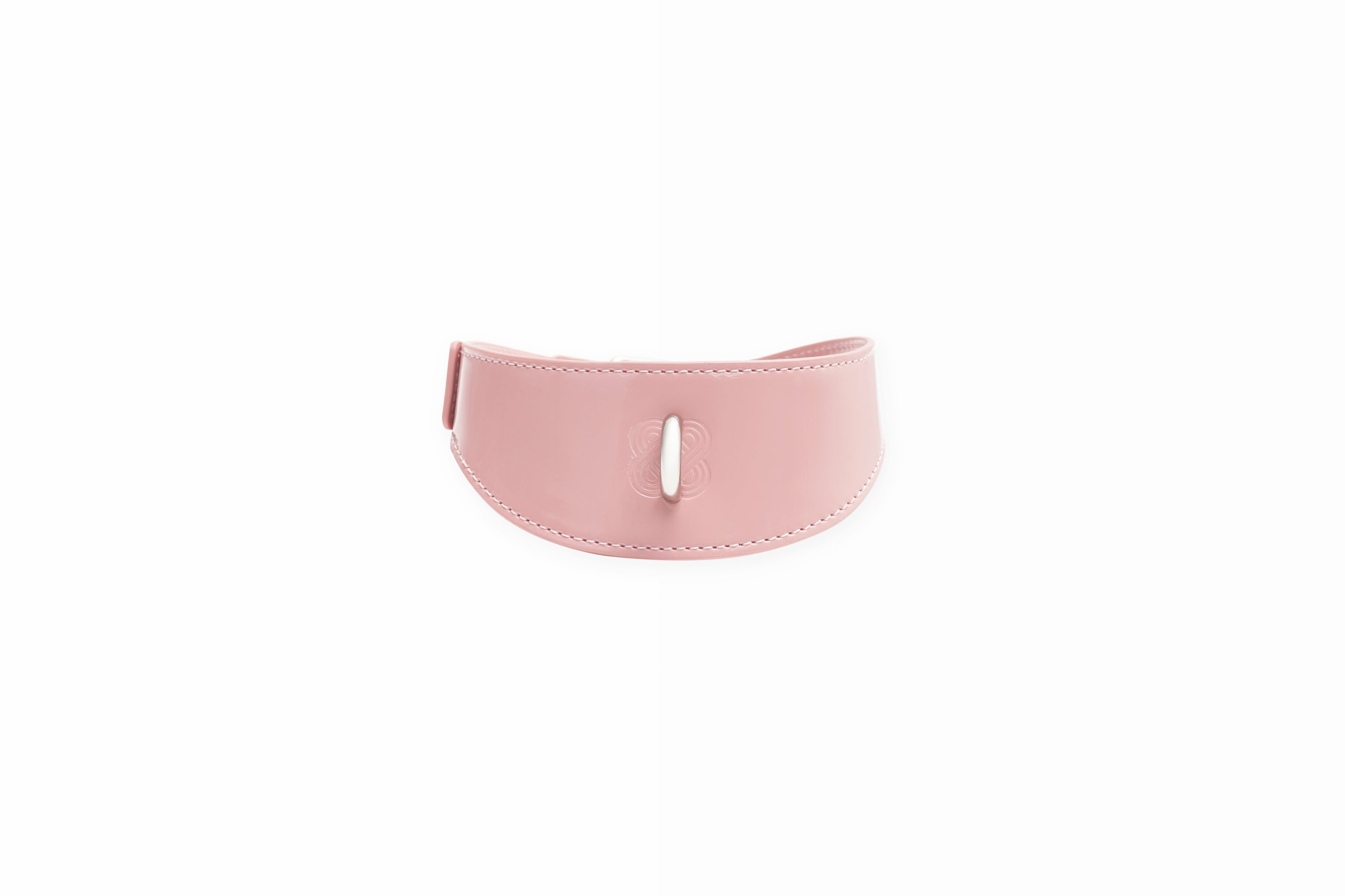 Heavy-duty polished stainless steel spring clasp on a high-gloss pink patent leather collar.