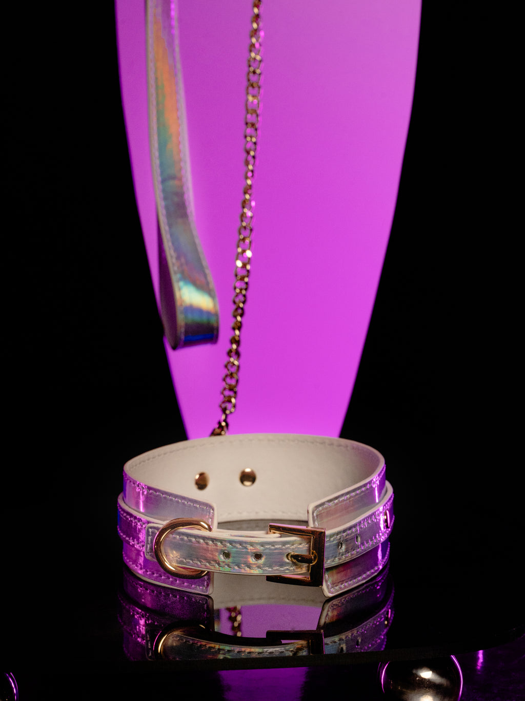 Polished stainless steel hardware on a high-gloss silver holographic collar