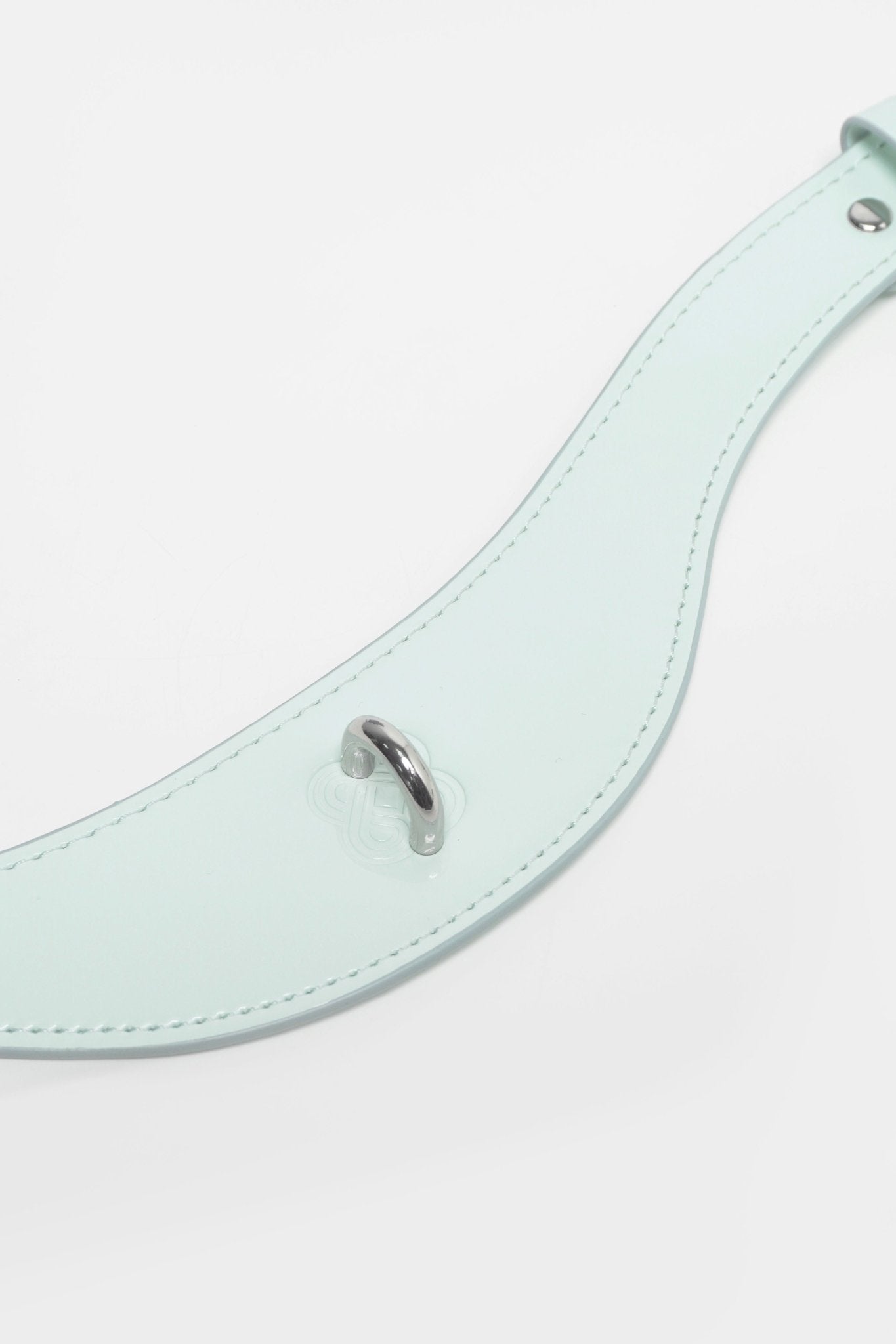 Shibari Embossed Cyber Mint Collar & Leash Set - Aphros Design