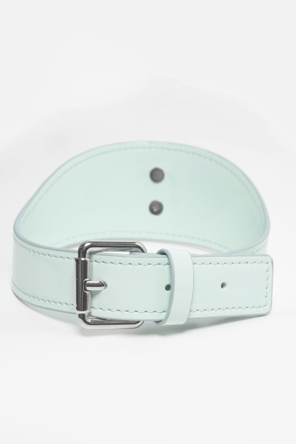 Shibari Embossed Cyber Mint Collar & Leash Set - Aphros Design