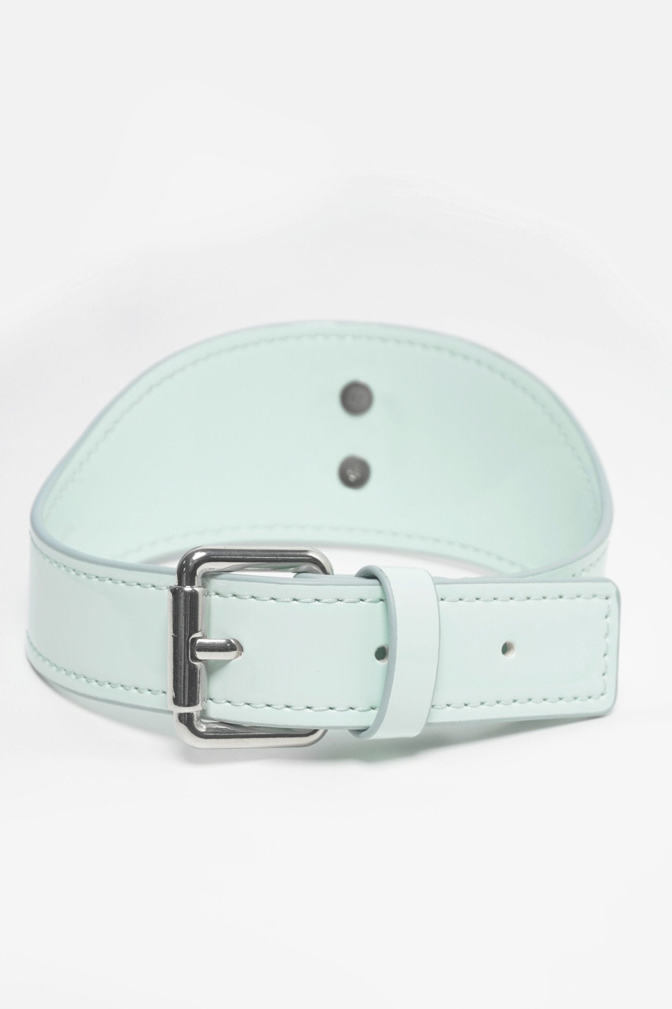 Shibari Embossed Cyber Mint Collar & Leash Set - Aphros Design
