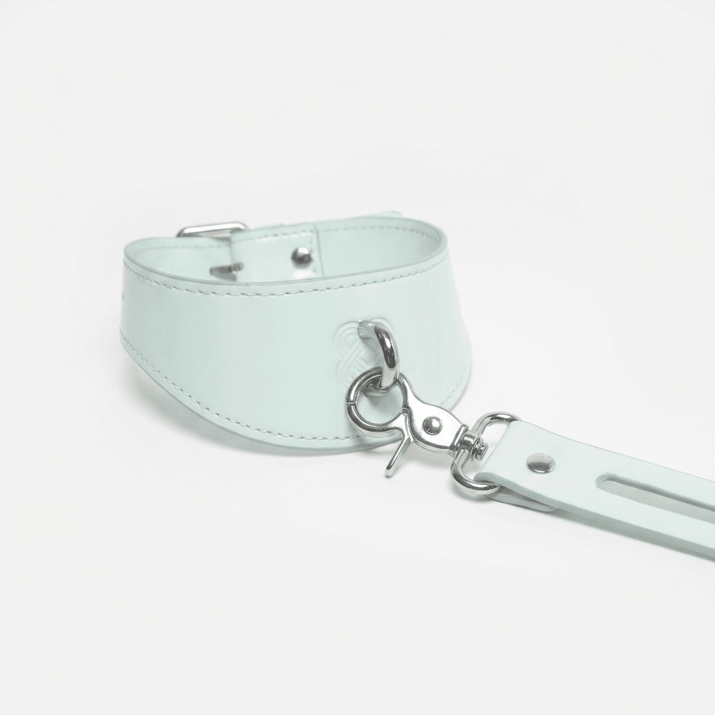 Shibari Embossed Cyber Mint Collar & Leash Set - Aphros Design